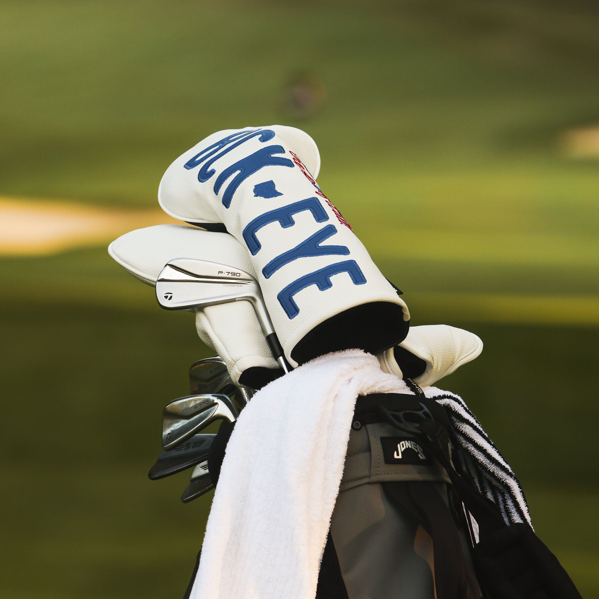 Ohio License Plate Golf Head Cover