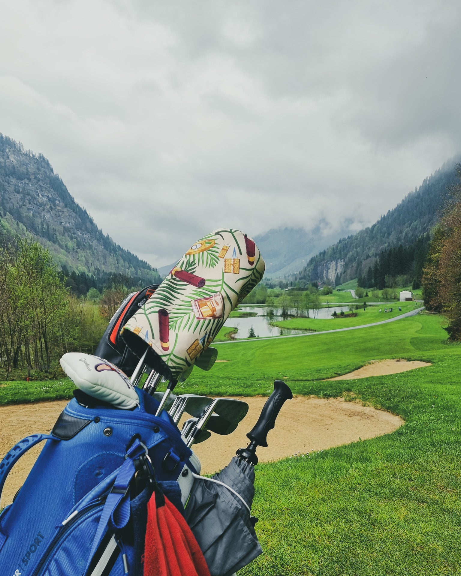 blue golf bag with a cigars driver head cover from cayce golf in Switzerland
